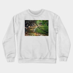 Myers Big Island State Park Crewneck Sweatshirt